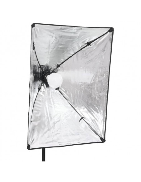 Luci Professionali da Studio 2 pz 40x60 cm