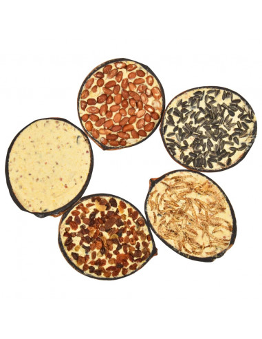 Noci di Cocco Ripiene di Cibo per Uccelli 10 pz 290 g