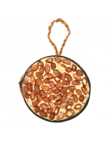 Noci di Cocco Ripiene di Cibo per Uccelli 10 pz 290 g