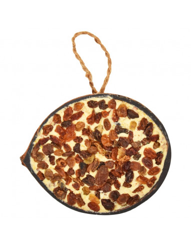 Noci di Cocco Ripiene di Cibo per Uccelli 10 pz 290 g