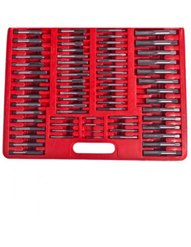 Set di Utensili Dadi e Filiere Maschi 111 pz