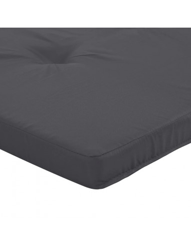 Cuscini per Sedia a Sdraio 2 pz Antracite in Tessuto Oxford