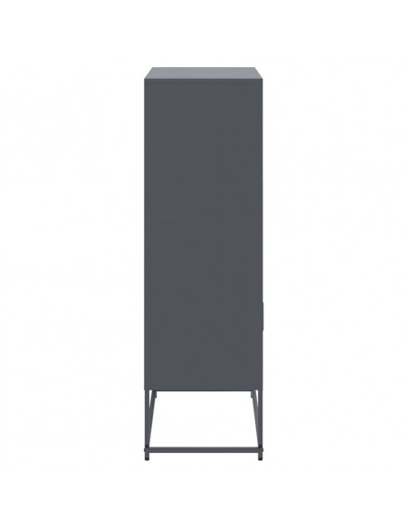 Credenza Antracite 68,5x38,5x123,5 cm in Acciaio