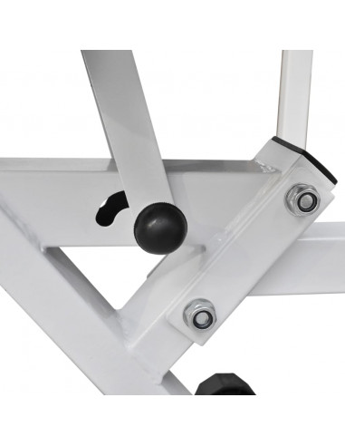 Panca da Palestra con Bilanciere e Set di Manubri 60,5 kg