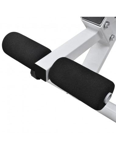 Panca da Palestra con Bilanciere e Set di Manubri 60,5 kg