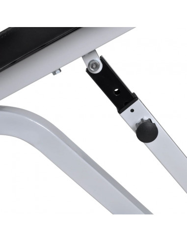 Panca Fitness per Allenamento Pesi