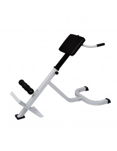 Panchina di Allenamento per la Schiena 2