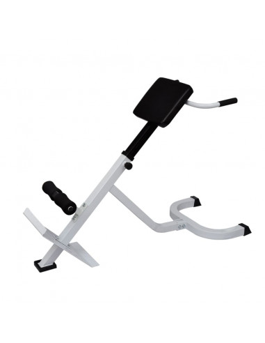 Panchina di Allenamento per la Schiena