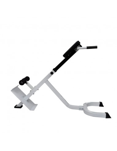 Panchina di Allenamento per la Schiena