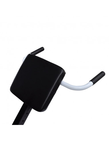 Panchina di Allenamento per la Schiena