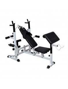 Panca Multifunzione Fitness 2