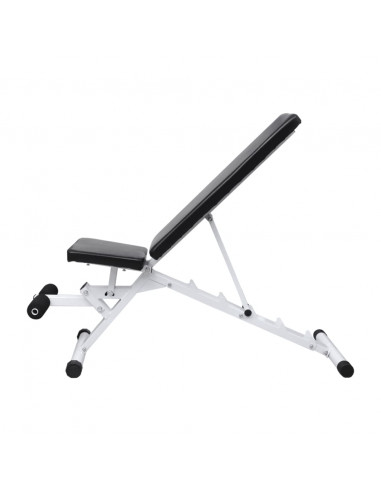 Panca di Allenamento Fitness
