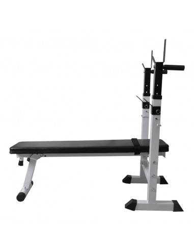 Panca per Pesi e Massa Muscolare Fitness in Acciaio
