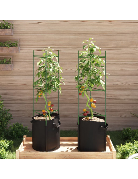 Sostegno Pomodori con Sacchetto Piante 2pz 116 cm Acciaio e PP