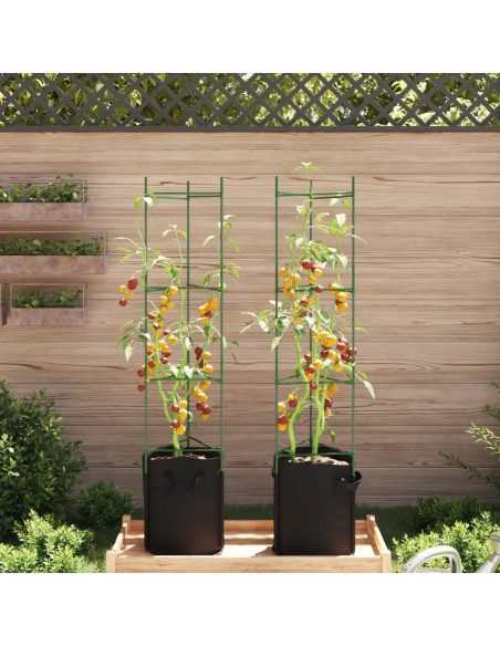 Sostegno Pomodori con Sacchetto Piante 2pz 154 cm Acciaio e PP