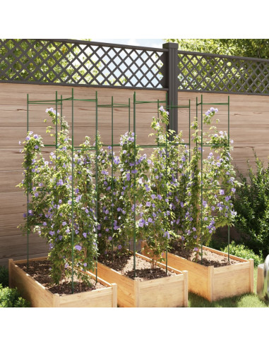 Sostegni per Pomodori 6pz 154 cm in Acciaio e PP