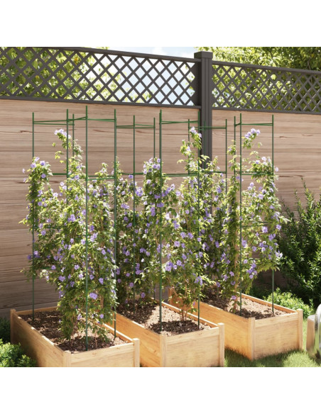 Sostegni per Pomodori 6pz 154 cm in Acciaio e PP