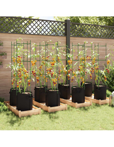 Sostegni Pomodori con Sacchetti Piante 8pz 154 cm Acciaio e PP