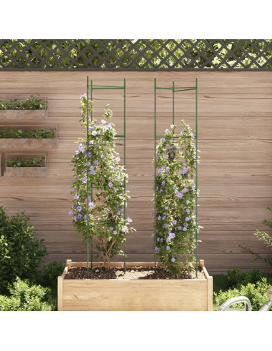 Sostegno per Pomodori 2pz 154 cm in Acciaio e PP