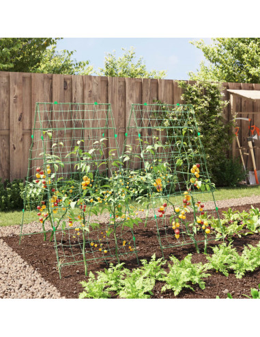 Tralicci Giardino per Piante Rampicanti 2pz Telaio ad A Acciaio