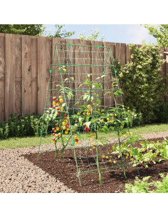Traliccio Giardino per Rampicanti Telaio A 99x90x175,5 Acciaio 2