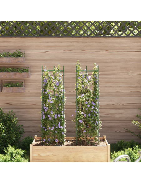 Sostegno per Pomodori 2pz 116 cm in Acciaio e PP