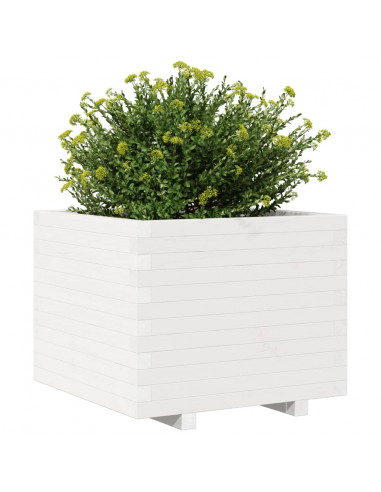 Fioriera da Giardino Bianca 60x60x49,5cm Legno Massello di Pino