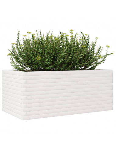 Fioriera da Giardino Bianca 110x60x45,5 cm Legno Massello Pino