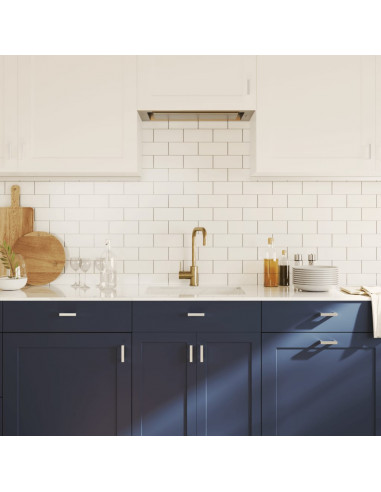 Maniglie per Mobili 20pz Argento 64mm in Acciaio Inox