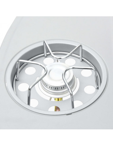 Barbecue e Griglia a Gas 4+1 Fornelli Argento in Acciaio Inox