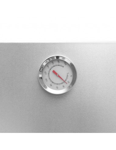 Forno Affumicatore Trucioli Legno 44,5x29x110cm in Acciaio Inox