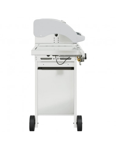 Griglia Barbecue a Gas con 5 Bruciatori Argento in Acciaio