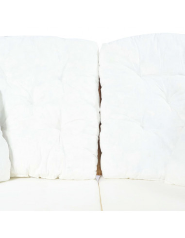 Divano a 2 Posti in Rattan