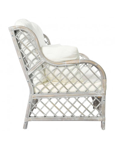 Divano a 2 Posti in Rattan Grigio