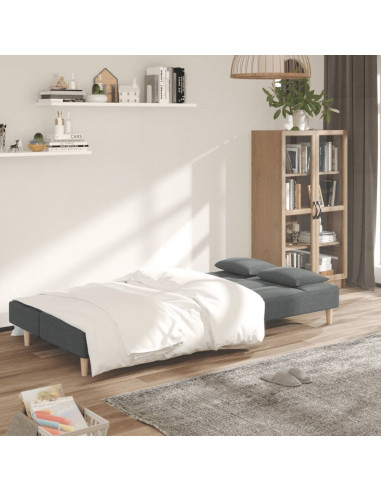 Divano Letto a 2 Posti con 2 Cuscini Grigio Scuro in Tessuto