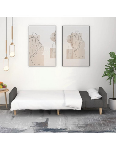 Divano Letto a 2 Posti Grigio Scuro in Tessuto