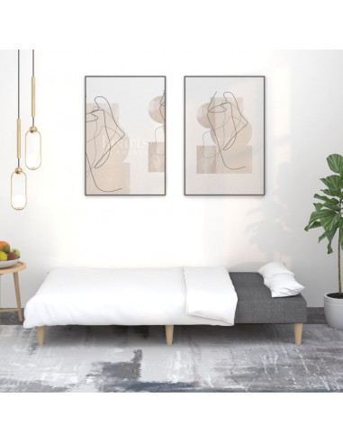 Divano Letto a 2 Posti Grigio Scuro in Tessuto