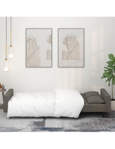 Divano Letto a 2 Posti con 2 Cuscini Grigio Scuro in Velluto