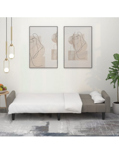 Divano Letto a 2 Posti Grigio Chiaro in Velluto