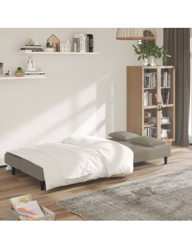 Divano Letto a 2 Posti con 2 Cuscini Grigio Chiaro in Velluto