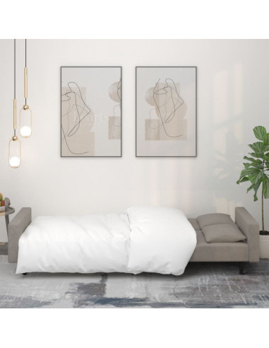 Divano Letto a 2 Posti con 2 Cuscini Grigio Chiaro in Velluto