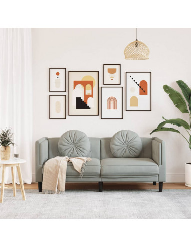 Divano a 2 Posti con Cuscini Grigio Chiaro in Velluto