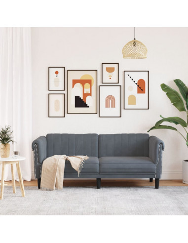 Divano a 2 Posti Grigio Scuro in Velluto