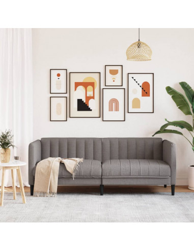 Divano a 2 Posti Grigio Talpa in Tessuto