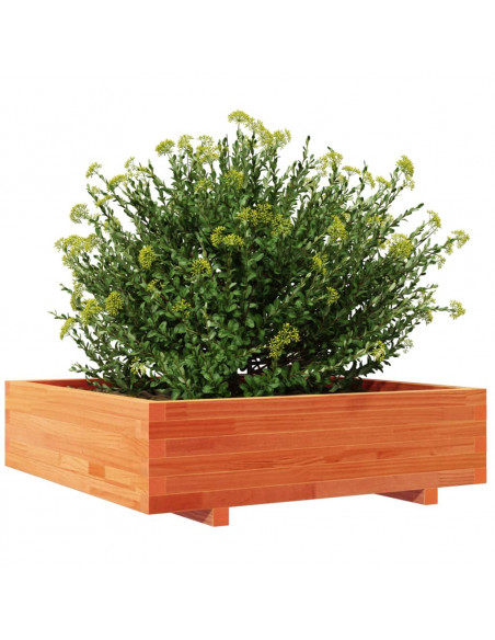 Fioriera Giardino Marrone Cera 90x90x26,5cm Legno Massello Pino