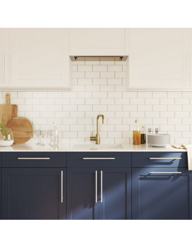 Maniglie per Mobili 10 pz Argento 224 mm in Acciaio Inox