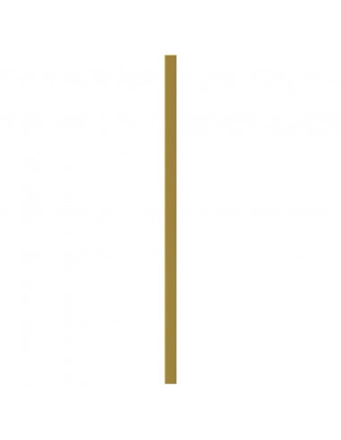 Maniglie per Mobili 10 pz Oro 320 mm in Acciaio Inox