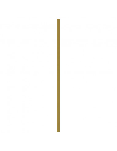 Maniglie per Mobili 20 pz Oro 480 mm in Acciaio Inox