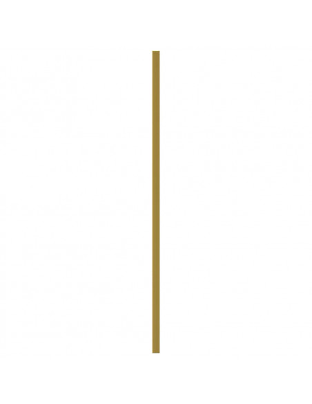 Maniglie per Mobili 20 pz Oro 480 mm in Acciaio Inox