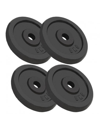 Dischi per Pesi 4 pz 4x5 kg in Ghisa